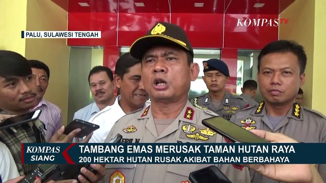 Tambang Emas Merusak Taman Hutan Raya di Palu