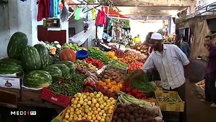 يوميات الفلاح - 10/03/2020