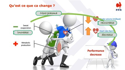 La chaleur : effets aigus et acclimatation (S. Racinais)
