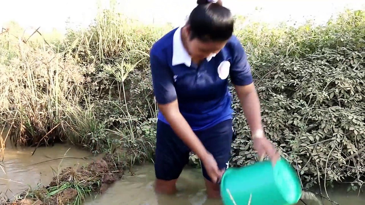 Amazing Tortoise & Fish Catch at Cambodia Traditional Fishing (part 028)
