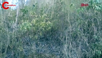 Trabzon'daki orman yangınları kontrol altına alındı