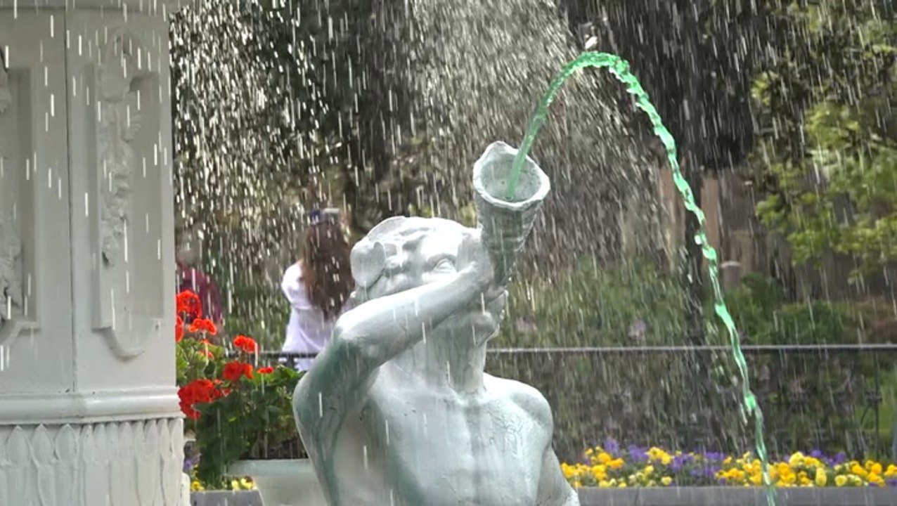St. Patrick's Day celebrations canceled