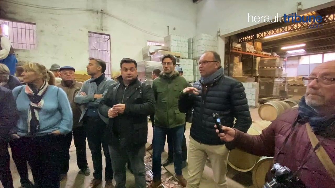 AGDE / MARSEILLAN - Les caves Richemer sont en cours de déménagement sur un nouveau site