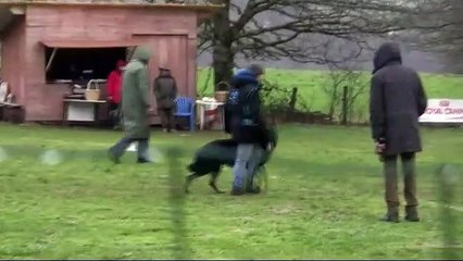 JEKYLL SELECTIFS 2020 2