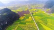 Chinese fields glossed in yellow as rapeseed flowers bloom