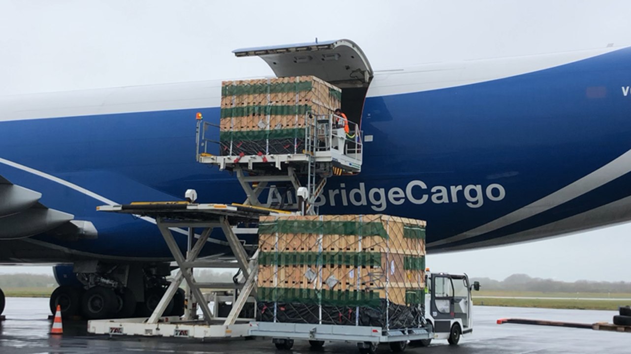 2 000 porcs prennent l’avion à Brest pour la Chine