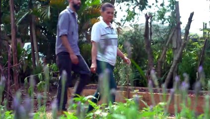 "مدينة صفيح خضراء" في ساو باولو