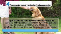 Las 8 noticias sobre el coronavirus que no deberías creer