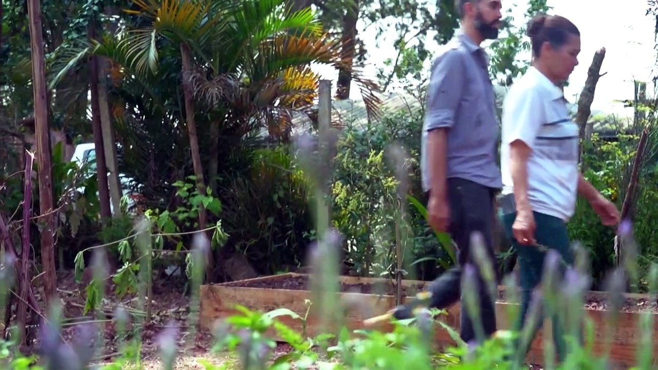 "مدينة صفيح خضراء" في ساو باولو