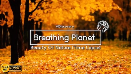 Breathing Planet - Beauty Of Nature (Time Lapse)