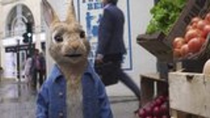 'Peter Rabbit 2' Release Date Moved to August Over Coronavirus Fears | THR News