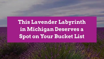 This Lavender Labyrinth in Michigan Deserves a Spot on Your Bucket List