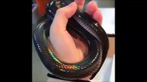 Un serpent magnifique à la peau multicolore