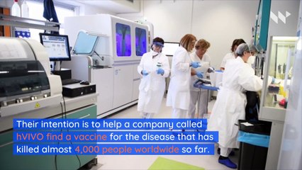 Descargar video: Volunteers in London Offered $4,588 to Be Infected With Coronavirus