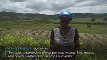 Mulheres angolanas sobrevivem diante das alterações climáticas