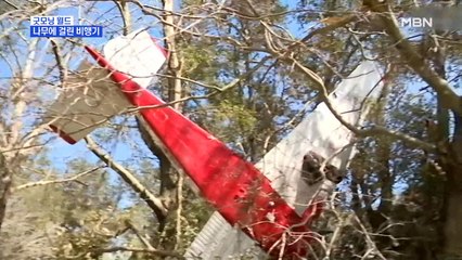 [굿모닝월드] 나무에 걸린 비행기