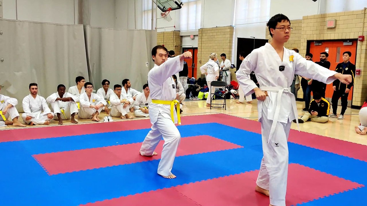 Jonathan Ng Taegeuk Ee Jang
