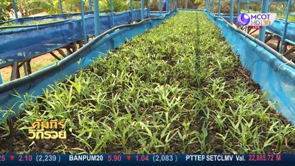 คัมภีร์วิถีรวย 9 มี.ค. 63: งานคราฟต์จากผู้สูงวัยแต่หัวใจยังวัยเก๋า