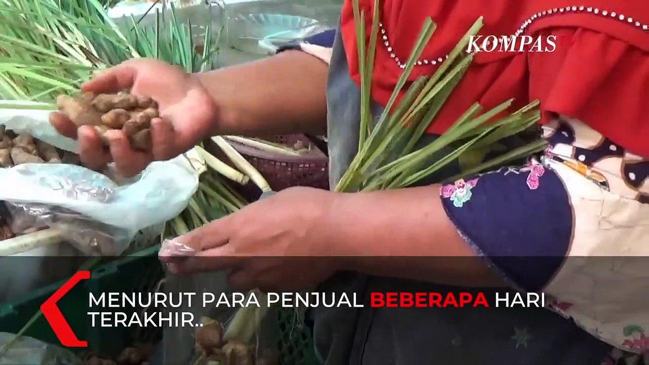 Laris Manis, Temulawak Diburu Warga untuk Bahan Jamu