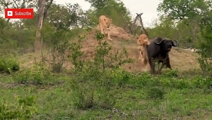 장유출장서비스 장유출장서비스O1OE2541E2560｛카톡KGB8｝ 장유출장마사지샵 장유출장안마on장유출장안마cos여3♪⇔∃마사지황형♥◦≪