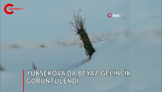 Yer: Hakkari... Görür görmez cep telefonuyla kayda aldı