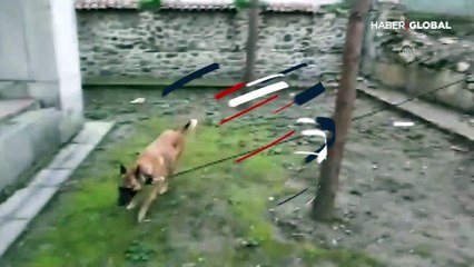 600 yıllık türbenin bahçesine uyuşturucu sakladılar