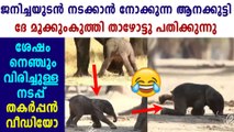 Baby Elephant Trying To Take First Steps Wins Social Media | Oneindia Malayalam