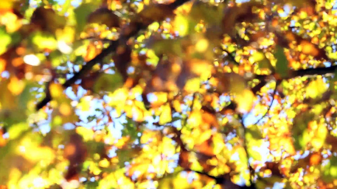 Spirit Sound Pinneberg 2013 Folge 12 /Full Film/Complete Movie/Ganzer Film