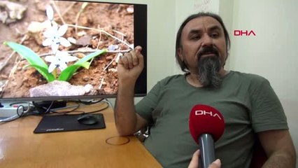 VAN Hakkari'de keşfedilen bitki, Türkiye'yede bir ilki yaşattı