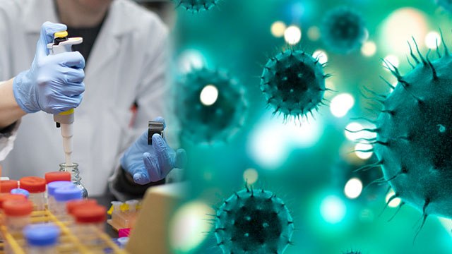 Coronavirus : अपने ऊपर कराए कोरोना वायरस की Vaccine का TEST, मिलेंगे लाखों रुपए | Boldsky