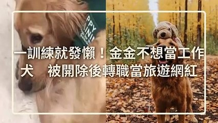 petmao_curation-petsmao.nownews-copy3-20200311-16:45