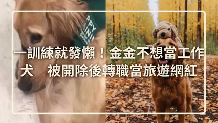 petmao_curation-petsmao.nownews|petmao_nownews-copy3-20200311-16:45