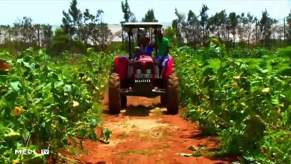 يوميات الفلاح - 11/03/2020