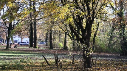 Spirit Sound Pinneberg 2013 Folge 14 /Full Film/Complete Movie/Ganzer Film