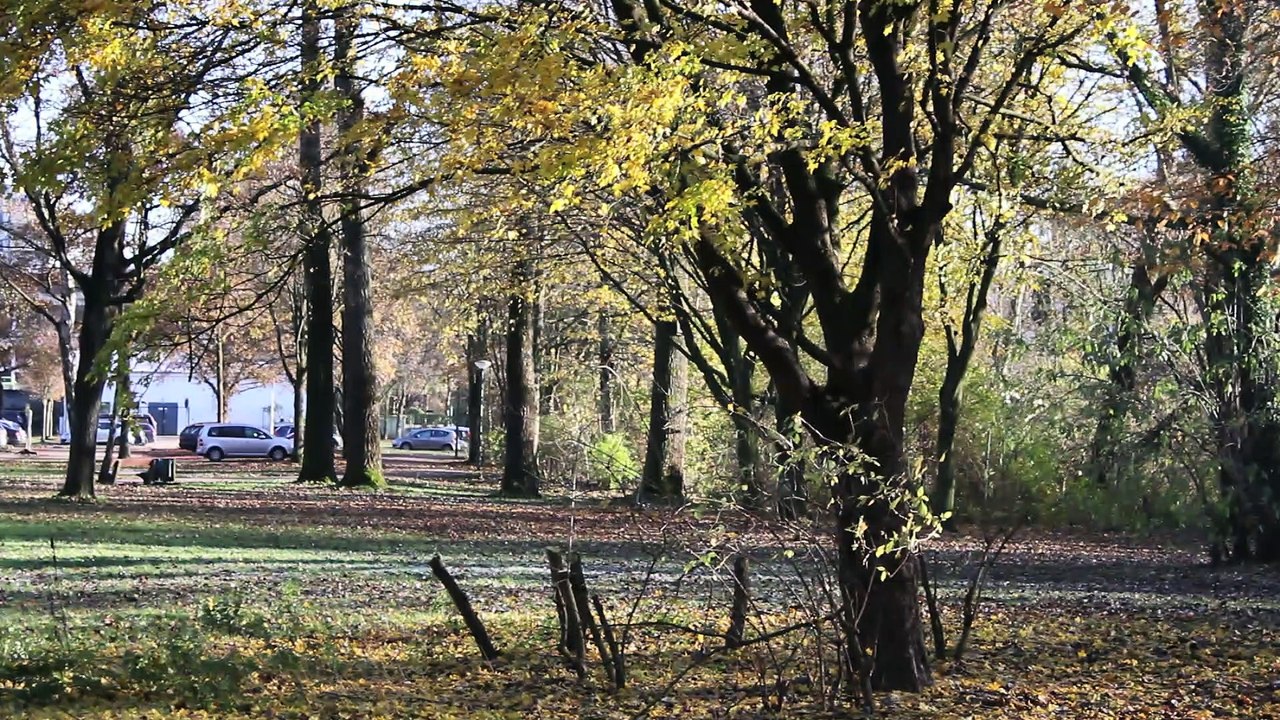 Spirit Sound Pinneberg 2013 Folge 14 /Full Film/Complete Movie/Ganzer Film