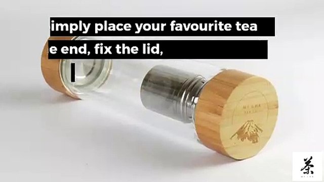 Mycha Twin Tea Glass Infuser Tumbler Bottle