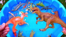 Dinosaurs for kids, Dinosaurs Find Baby Mom, Jurassic World Dinosaur Toys Kids Video