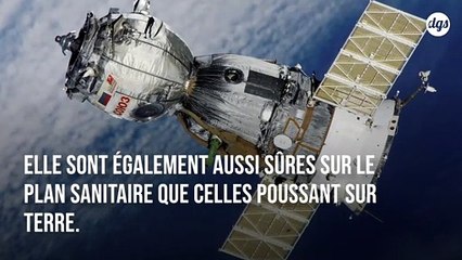 La laitue qui pousse sur l'ISS est aussi nutritive que celle cultivée sur Terre