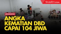 Angka Kematian DBD Capai 104 Jiwa, Terbanyak di NTT
