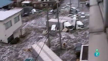 El tsunami y los cerezos en flor