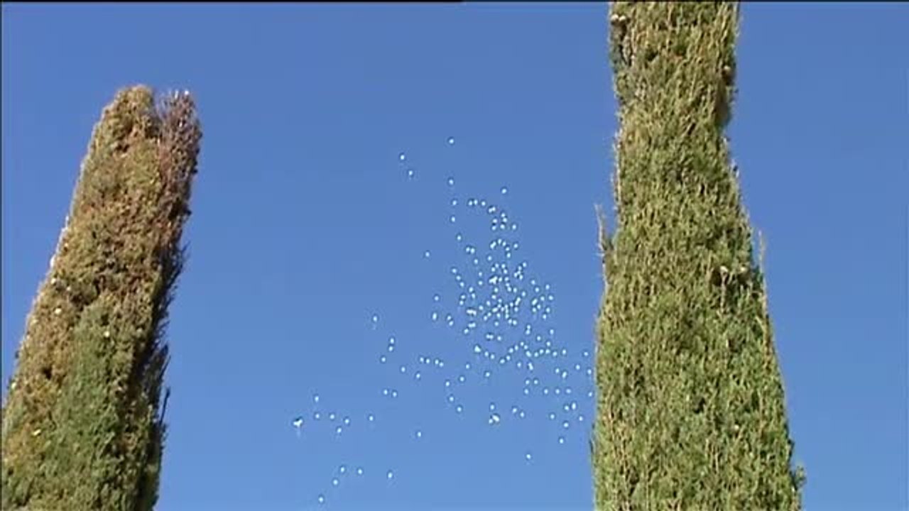 El homenaje a las víctimas del 11M ensombrecido por el coronavirus