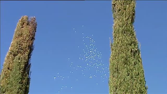 El homenaje a las víctimas del 11M ensombrecido por el coronavirus