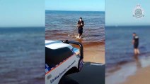 Australie: piégé dans l'eau, un wallaby est sauvé par un policier