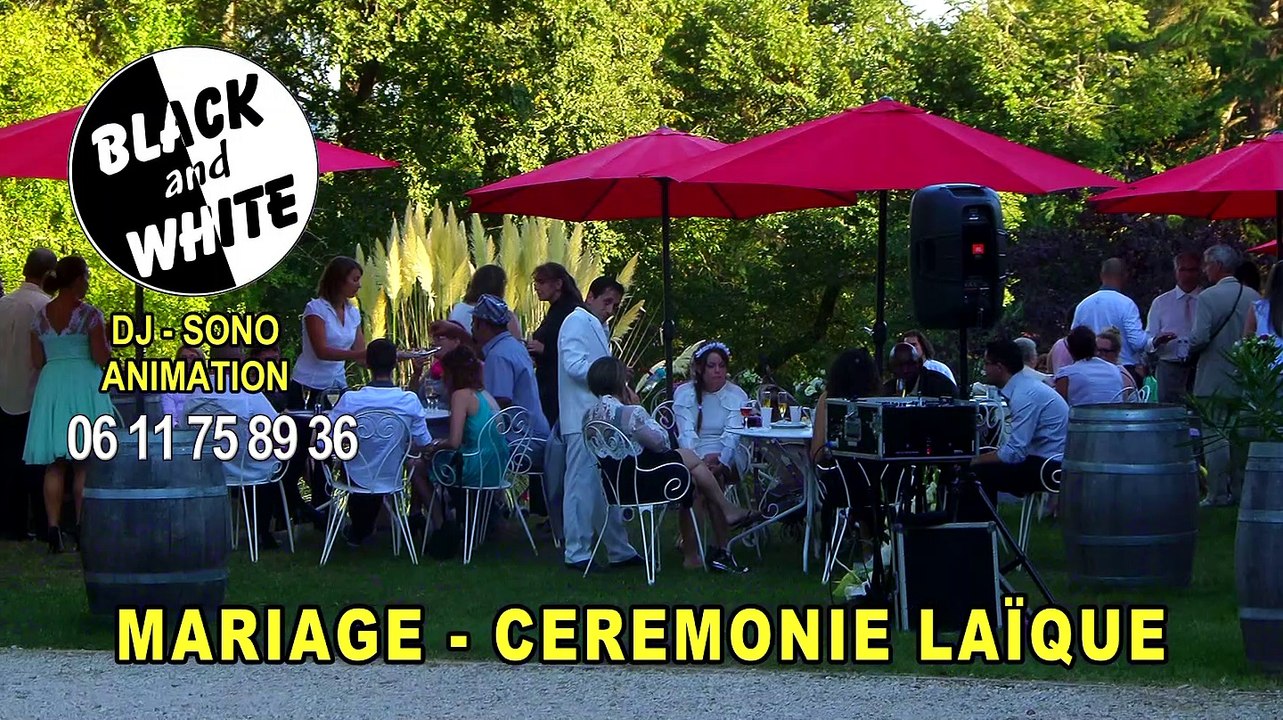 Sono DJ animation Black & White 2020