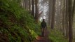 Great Smoky Mountains National Park Is Looking for Hiking Volunteers