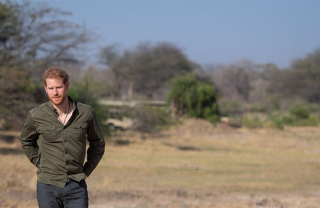 Prince Harry tricked by Russian pranksters