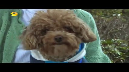 รักหักเหลี่ยม ซับไทย ตอนที่  21