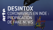 Coronavirus en Inde : propagation de fake news | 11/03/2020 | Désintox | ARTE