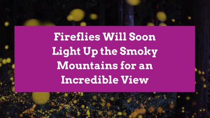 Fireflies Will Soon Light Up the Smoky Mountains for an Incredible View