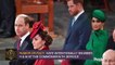 Breaking Down Harry & Meghan's Final Appearance and Prince William & Kate Middleton's Tour of Ireland